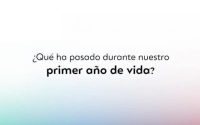 ¿Qué ha pasado durante nuestro primer año de vida? #Zinquo